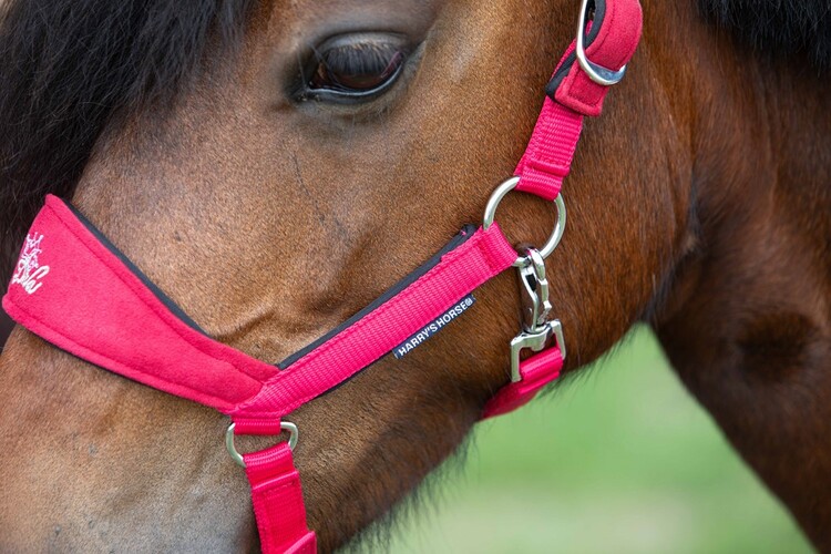 Harry's Horse Halsterset Diva Stella