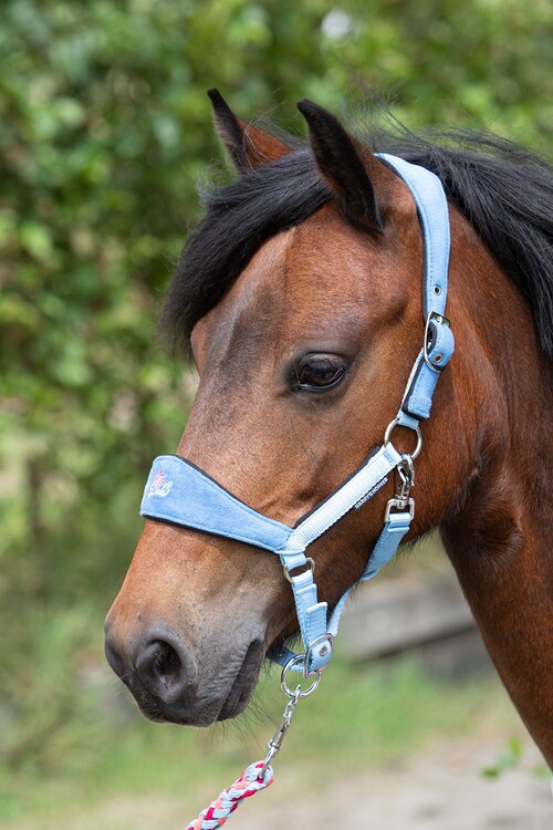 Harry's Horse Halsterset Diva Stella