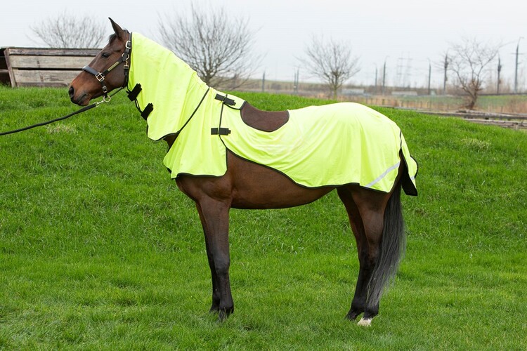 Harry's Horse Vliegen Uitrijdeken Mesh Pro Riding