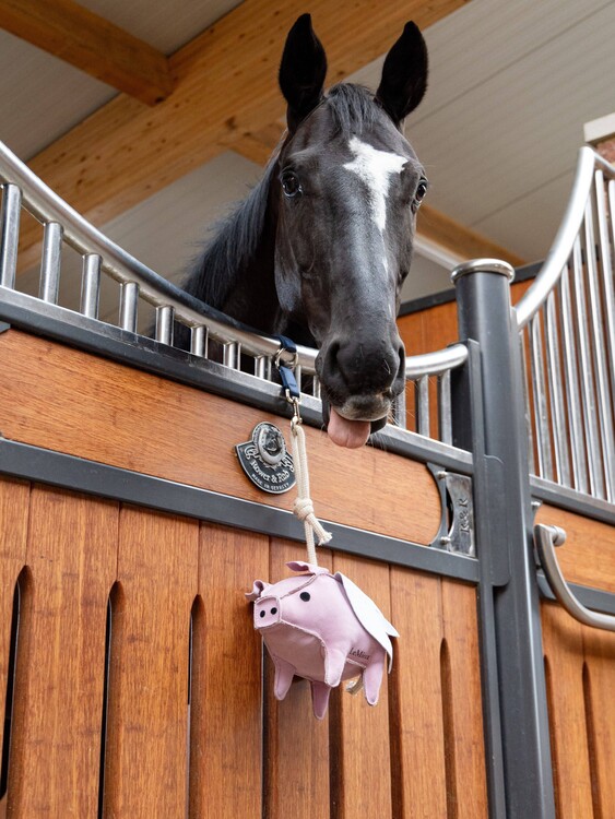 LeMieux Paardenspeelgoed Flying Pig