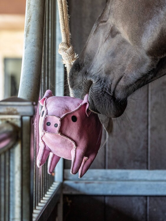 LeMieux Paardenspeelgoed Flying Pig