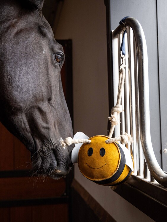 LeMieux Paardenspeelgoed Bij