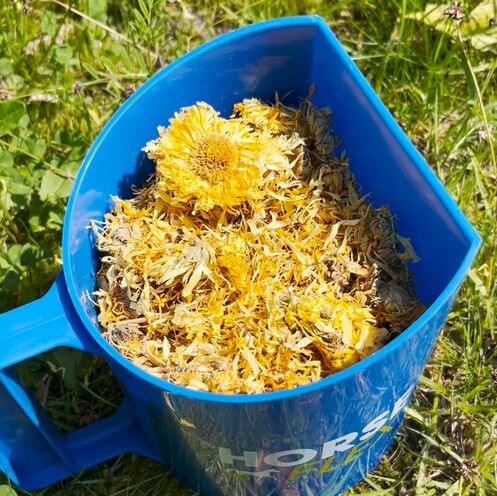 HorseFlex Goudsbloem 800gr