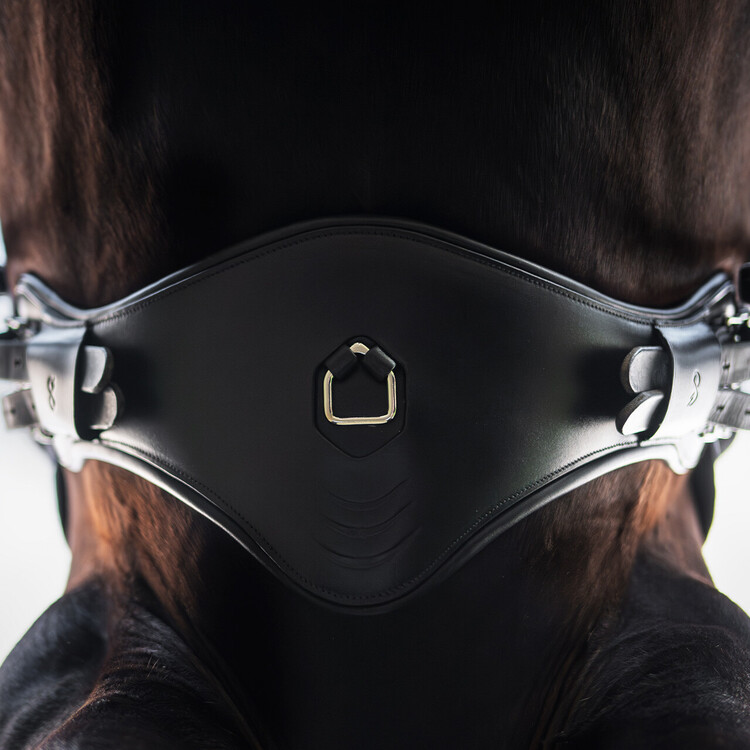 PresTeq Dressuursingel PerformFree