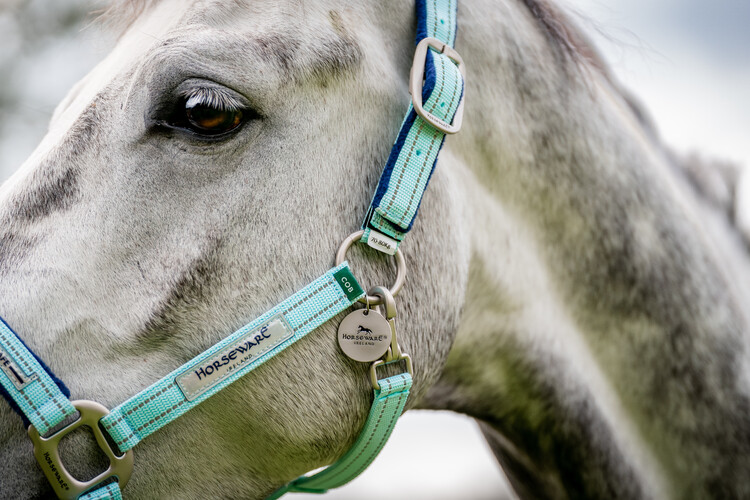 Horseware Field Safe veiligheidshalster