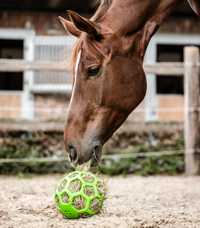 Waldhausen Hooibal Green