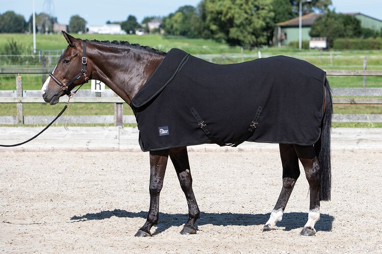 Harry's Horse Fleecedeken met oprolbare hals
