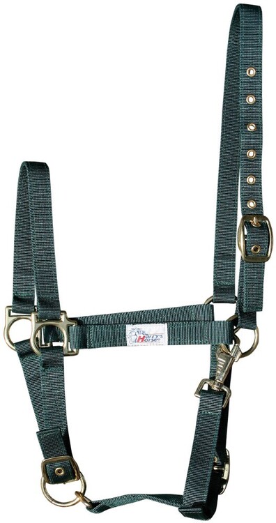 Harry's Horse Halster 3x verstelbaar
