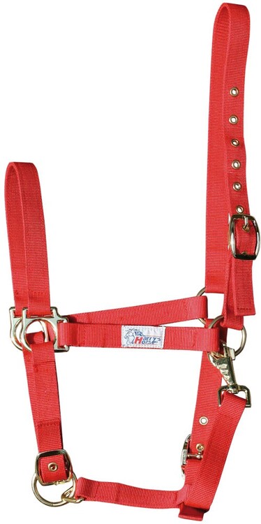 Harry's Horse Halster 3x verstelbaar