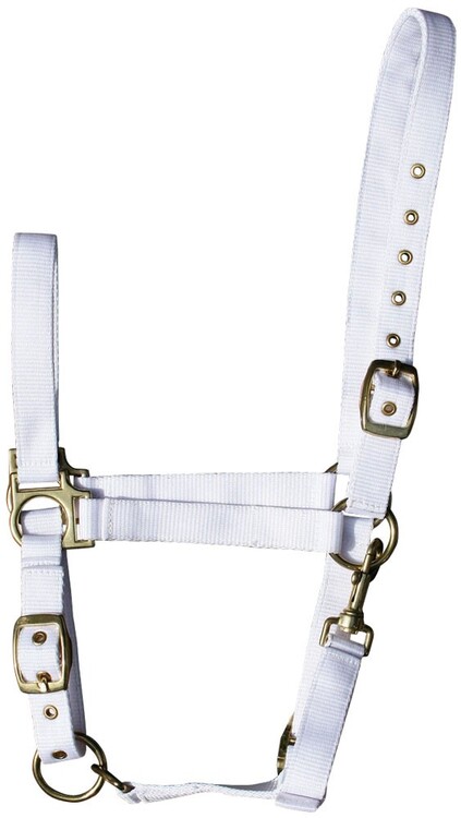 Harry's Horse Halster 3x verstelbaar