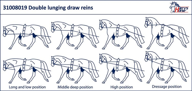Harry's Horse Dubbele longeerlijn