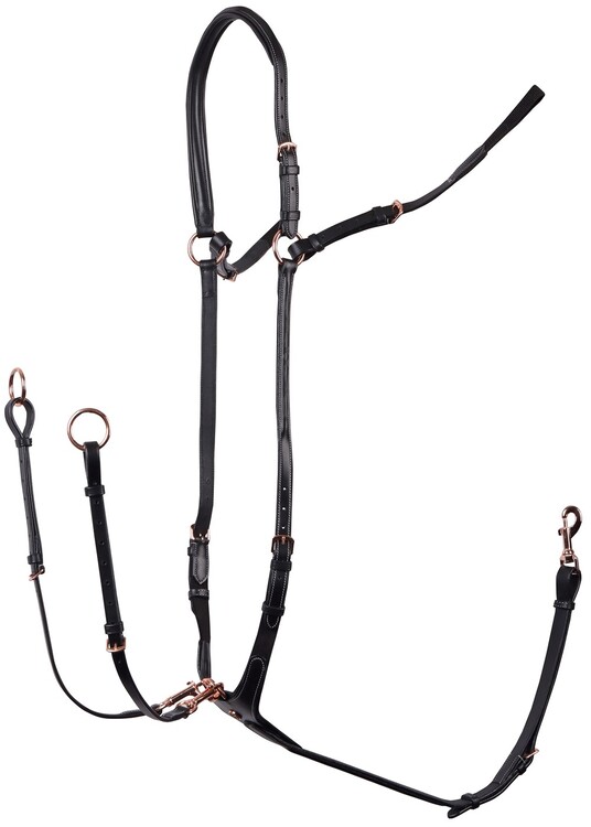 Harry's Horse Voortuig Rosegold