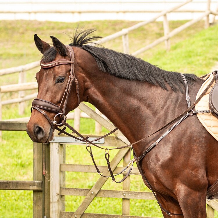 Harry's Horse Voortuig Rosegold