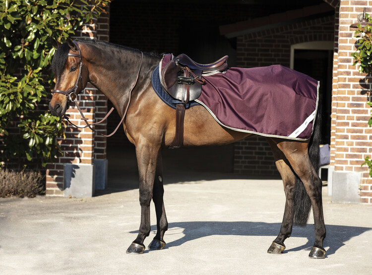 Horseware Amigo Ripstop Competition Uitrijdeken