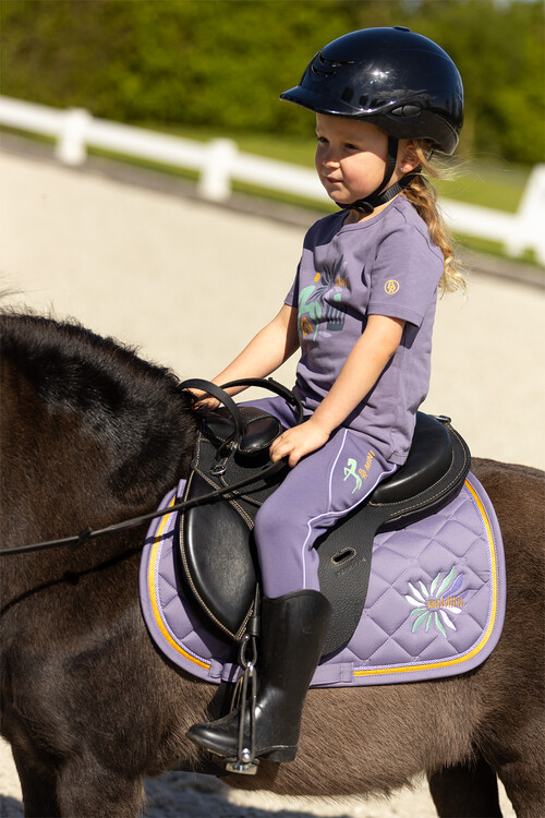 BR Mini Horse zadeldek