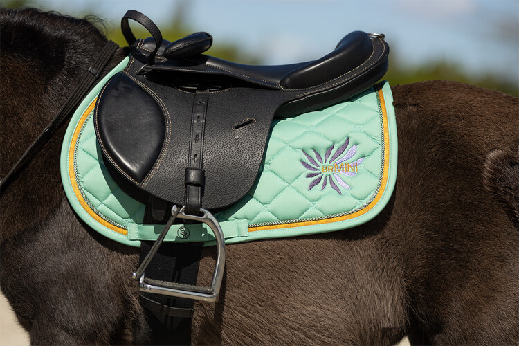 BR Mini Horse zadeldek