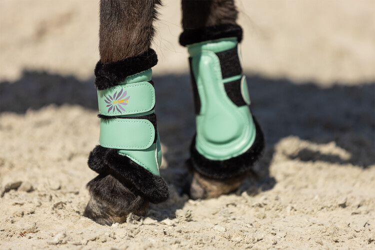 BR Mini Horse Majestic beenbeschermers
