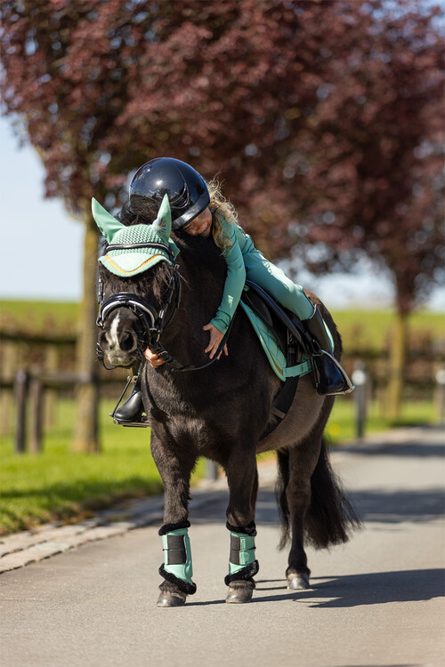 BR Mini Horse Majestic beenbeschermers