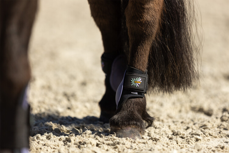 BR Mini Horse strijklappen