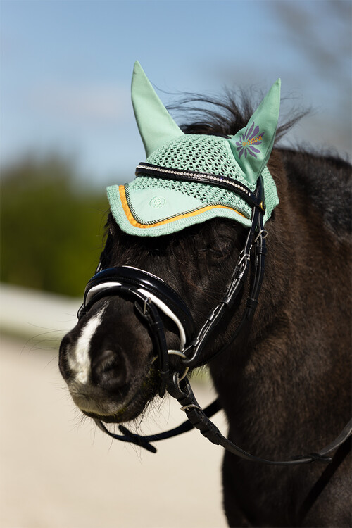 BR Mini Horse oornetje