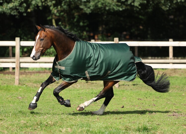 Bucas Freedom Turnout 300 winterdeken
