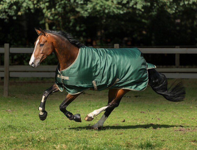 Bucas Freedom Turnout 300 winterdeken