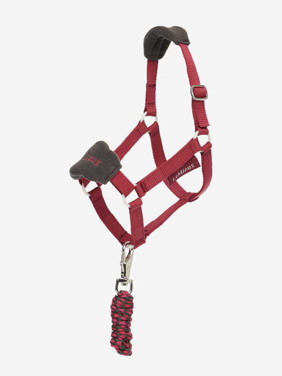 LeMieux Hobby Horse Vogue Halster