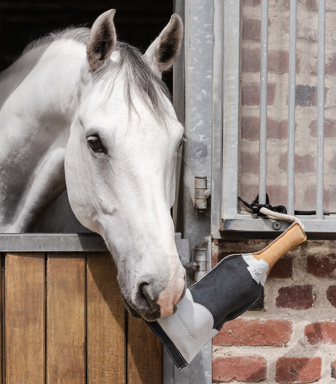 Waldhausen Paardenspeelgoed Sekt fles