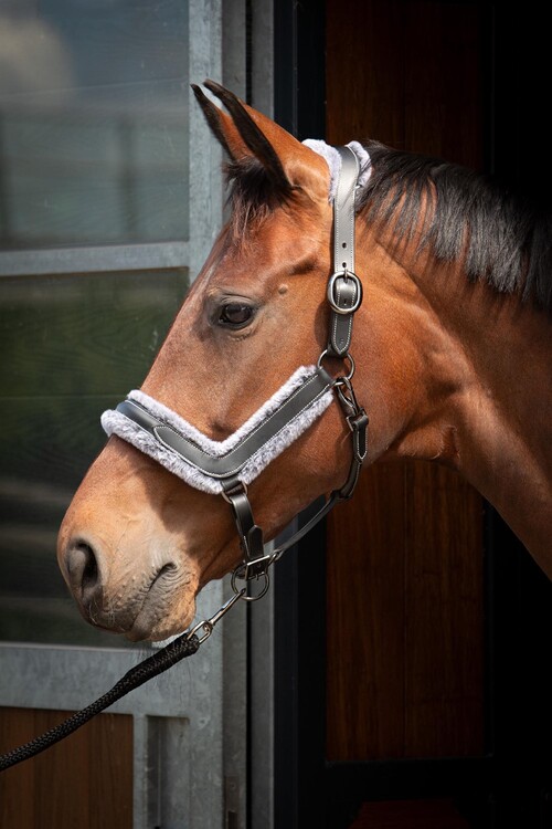 Harry's Horse Halster Leder Anatomic Furry Matt