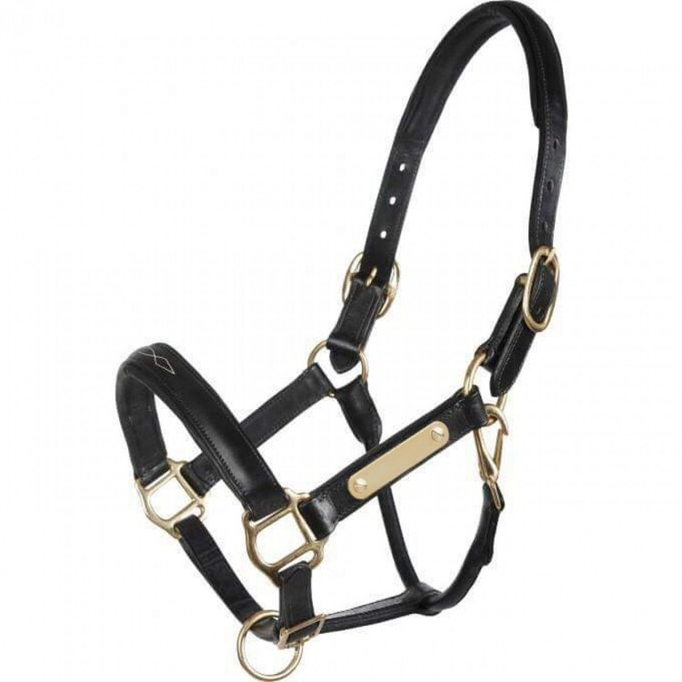 HB Showtime Lederen halster Horse name