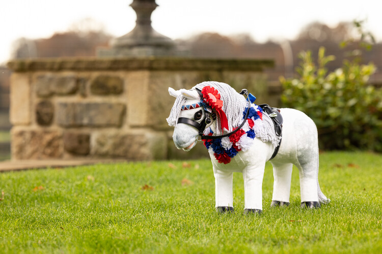 LeMieux Toy Pony Rozet 