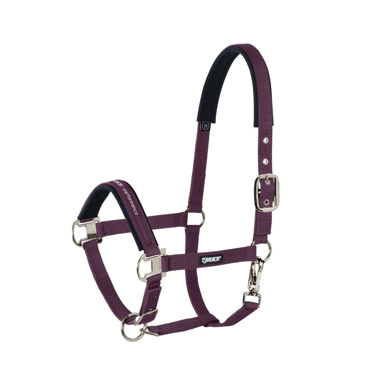 Eskadron Halster Pin Buckle