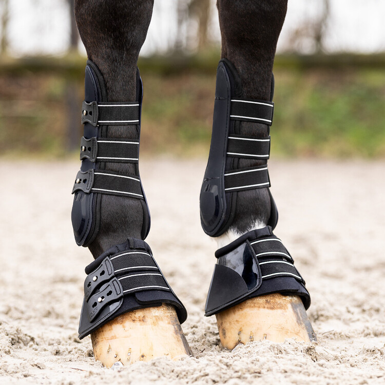 QHP Springschoenen Champion