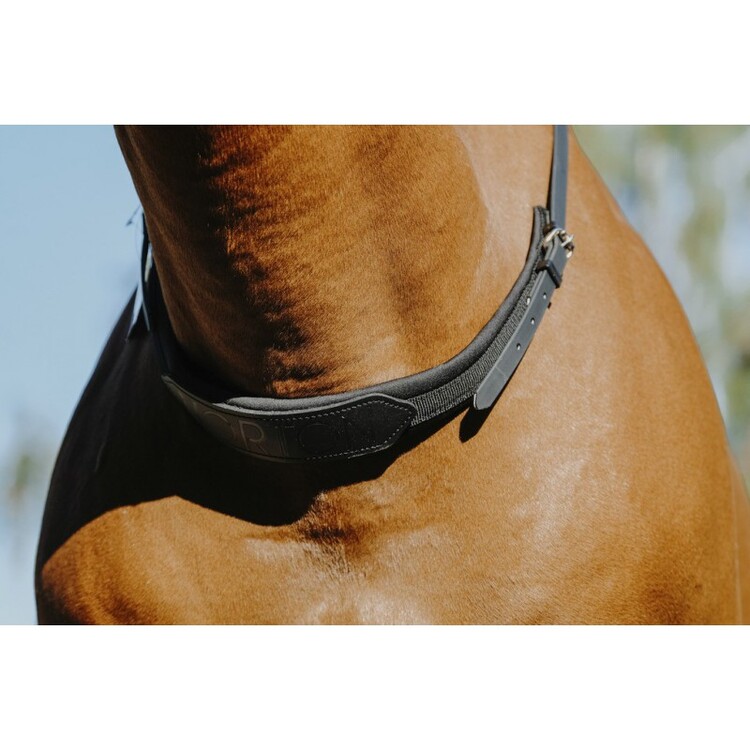 Norton Neck Collar