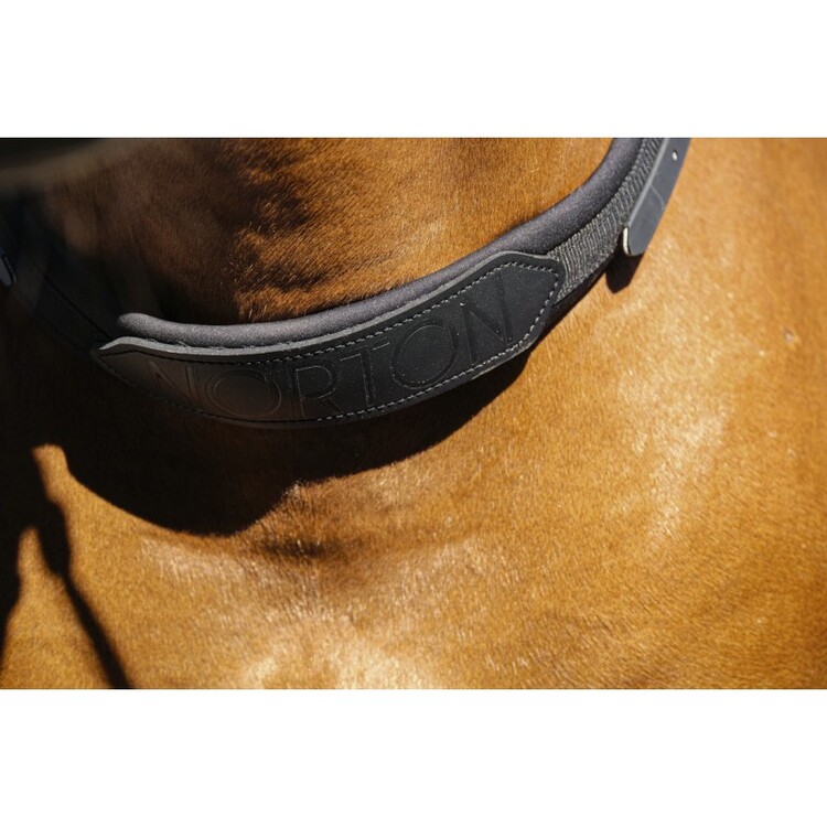 Norton Neck Collar