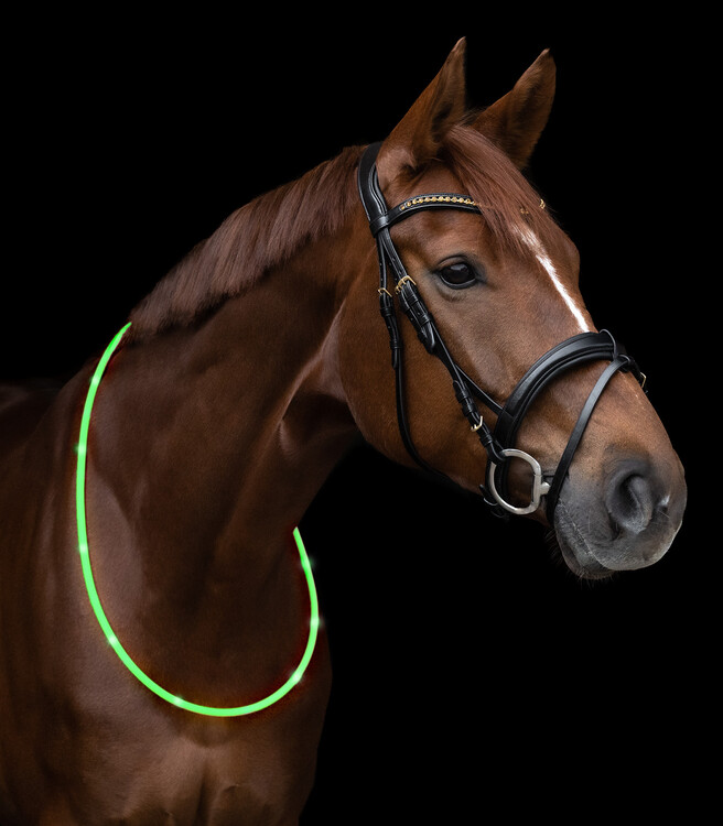 Waldhausen LED Halsring voor paarden