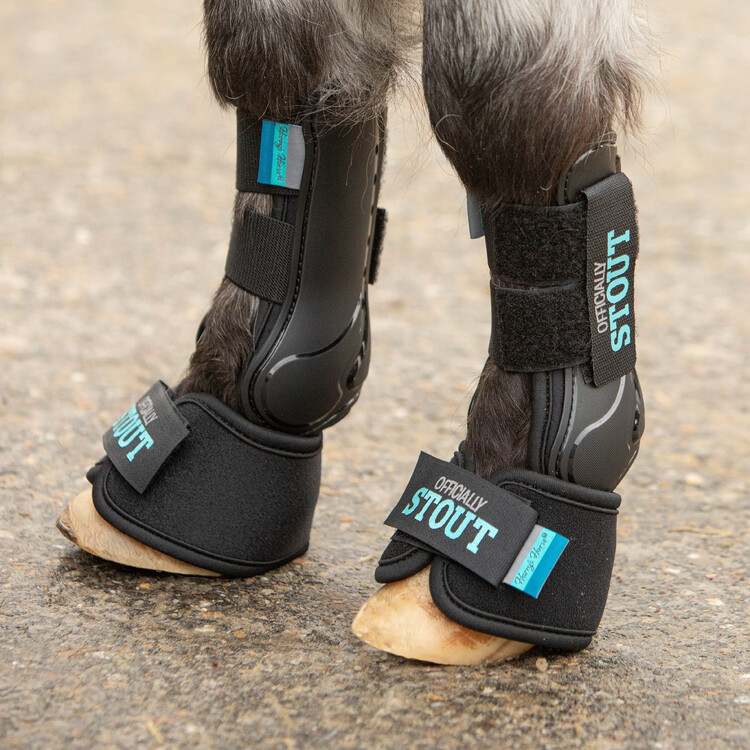 Harry's Horse Springschoenen STOUT! Beryl