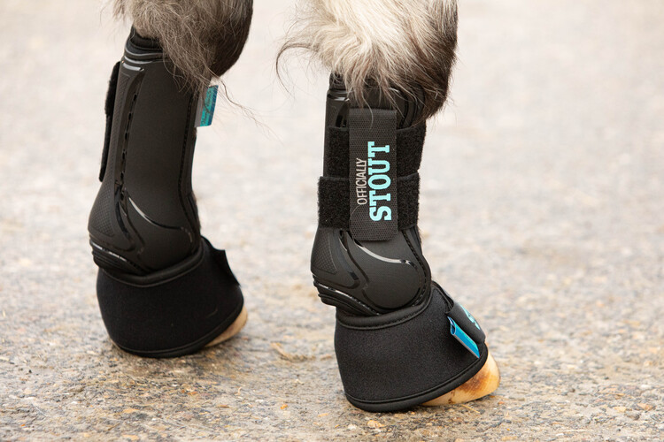 Harry's Horse Springschoenen STOUT! Beryl