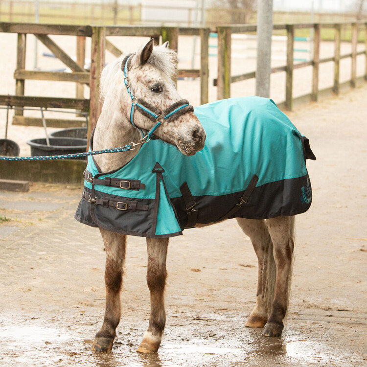 Harry's Horse Regendeken STOUT! Beryl 0gr