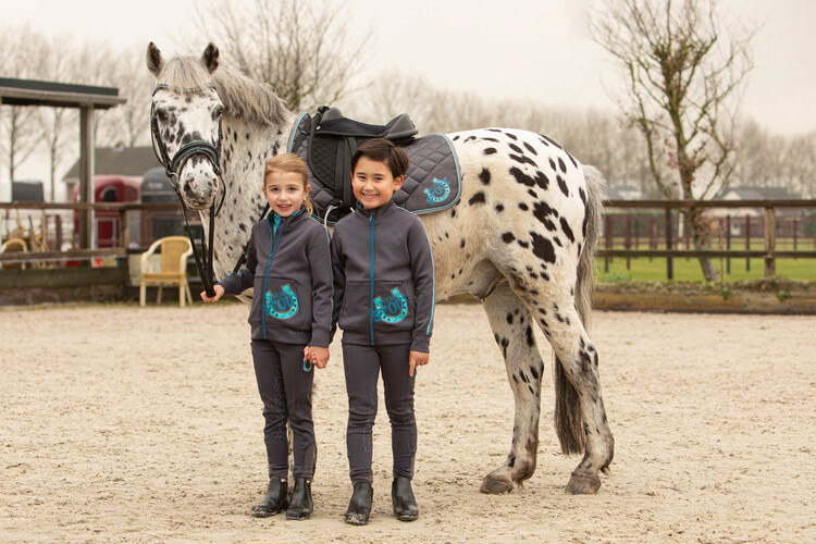 Harry's Horse Zadeldek STOUT! Beryl