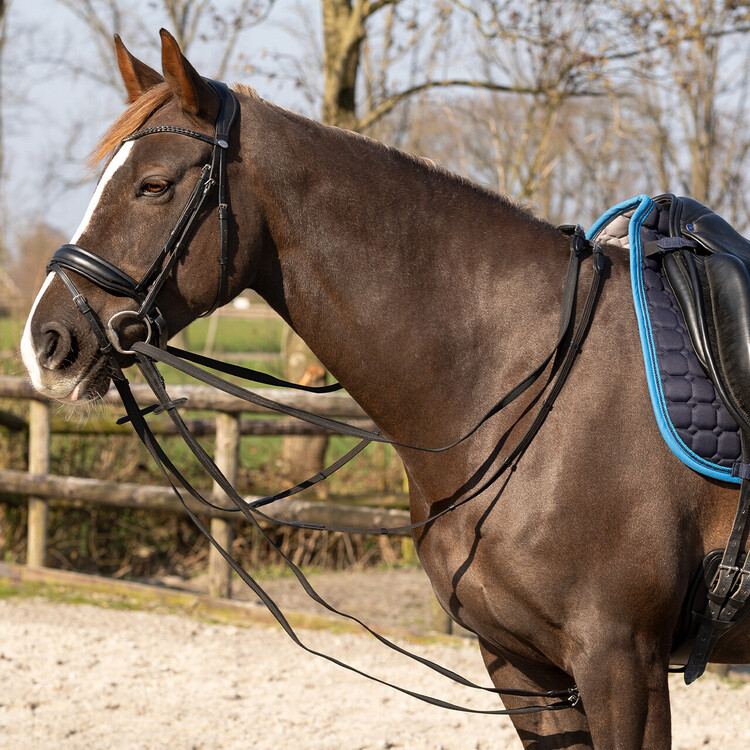 QHP Slofteugel Basic pro