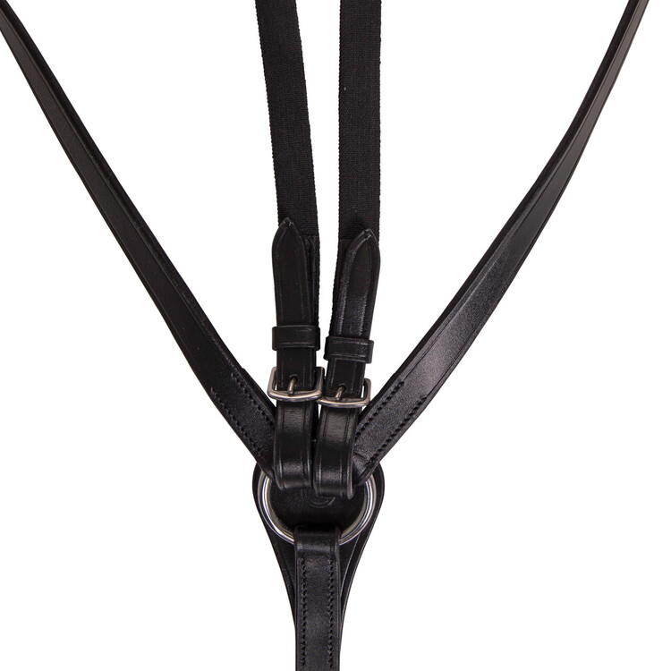 QHP Borsttuig Basic Pro