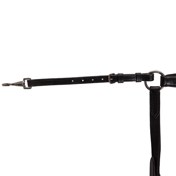 QHP Borsttuig Basic Pro