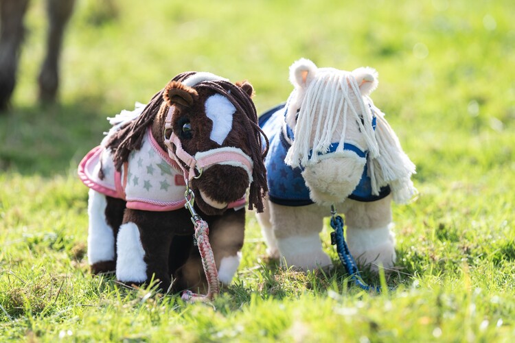 HKM Starset Cuddle Pony