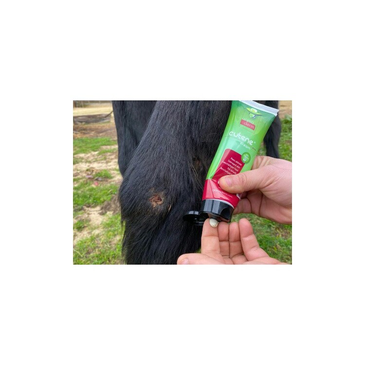 Animaderm Cutene verzorgende creme