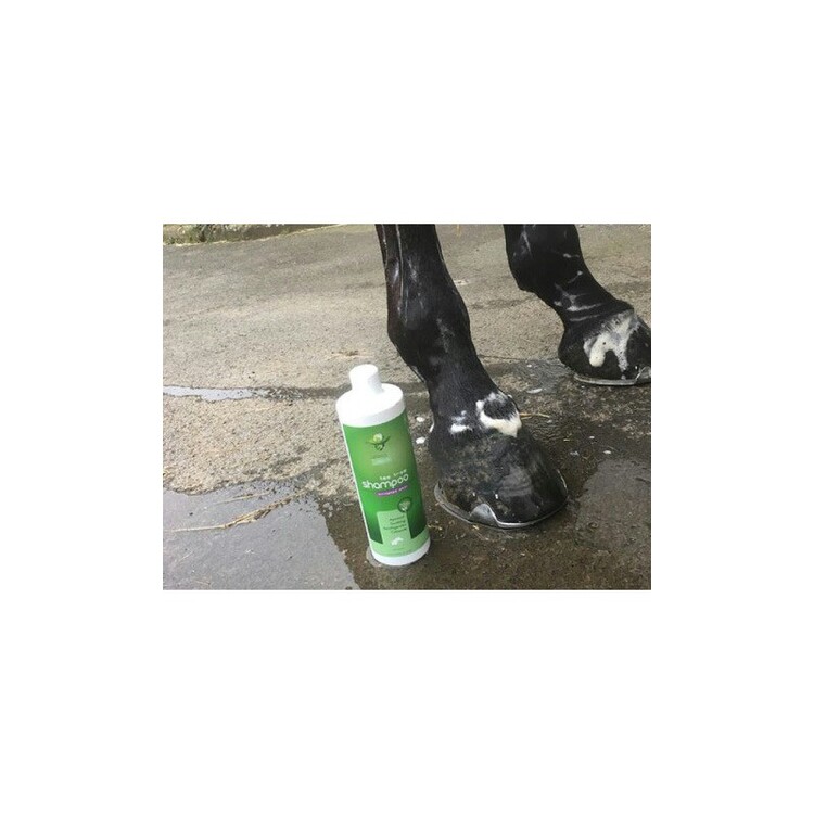 Animaderm Tea Tree Shampoo | 500ml