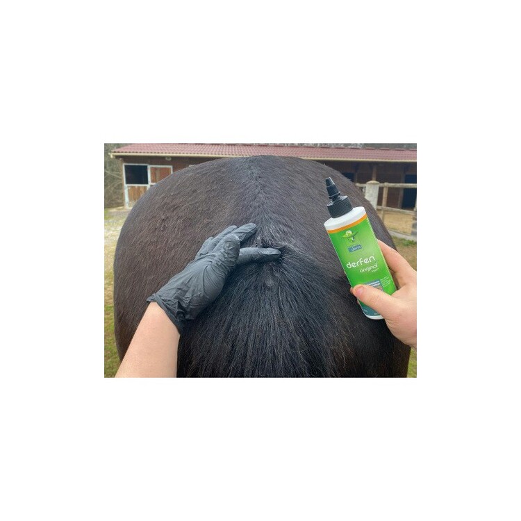 Animaderm Derfen Original Lotion