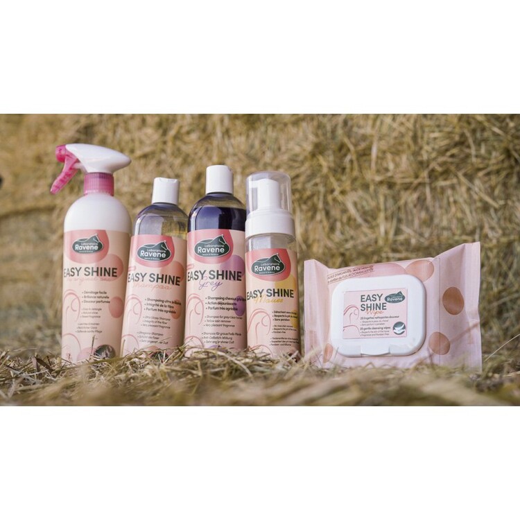 Ravene Easy Shine Wipe reinigingsdoekjes