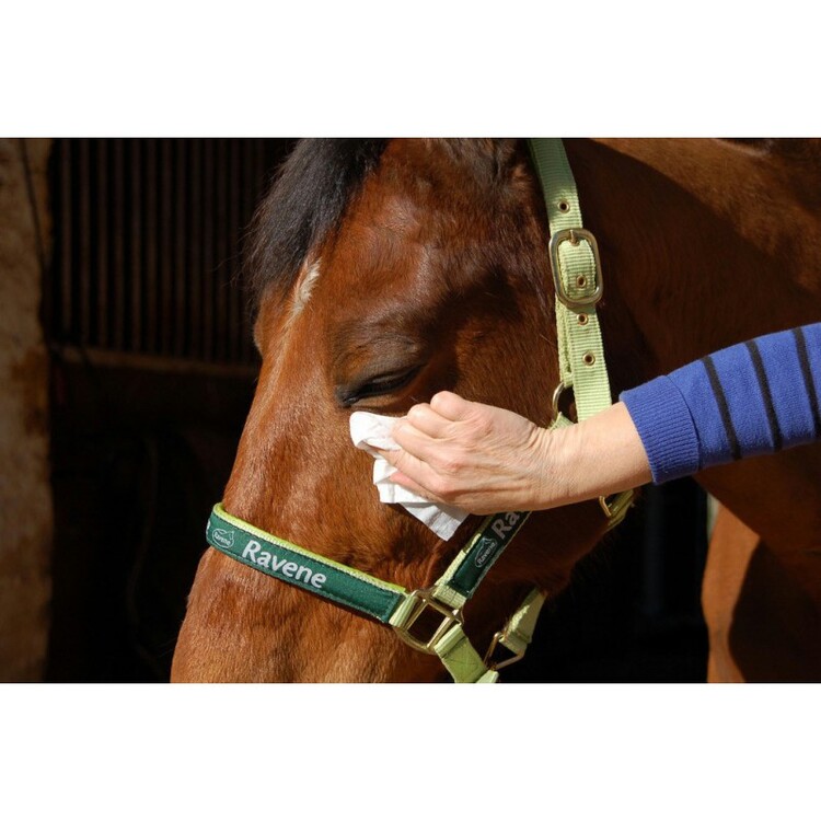 Ravene Easy Shine Wipe reinigingsdoekjes