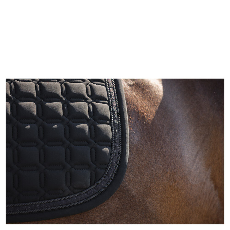 Anky Zadeldek Luminous Dressage